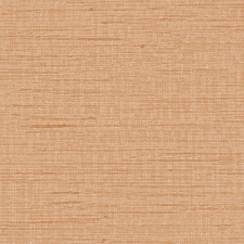 Обои Alessandro Allori Grace RWT1807-9