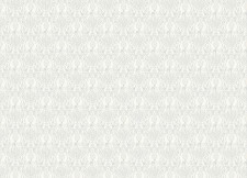 Обои Grandeco Jack 'n Rose 2024 JS 3311