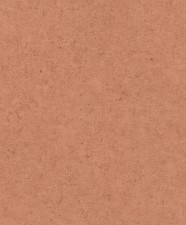 Обои Rasch Concrete 520880