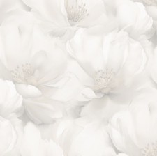 287021