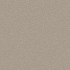 Ice4 002-3