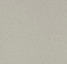 Обои Bernardo Bartalucci Legend 5068-28