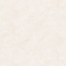 4293-2