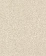 Обои Rasch Tapetenwechsel II 507089