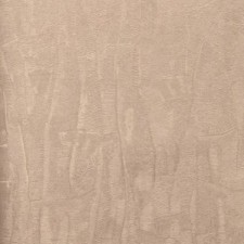 K18923C