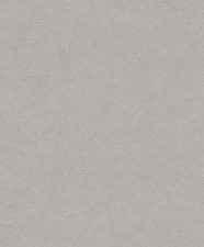 Обои Rasch Concrete 520255