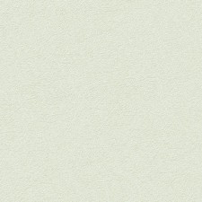 UI 1009
