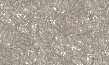 Обои Bruno Zoff Platinum 60102-3