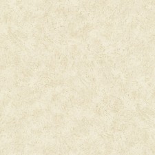 Обои Grandeco Universe 2023 US 1305
