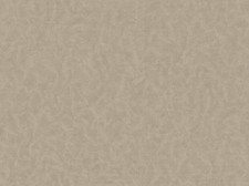 Обои Zambaiti parati Viaggio Italiano R 23046