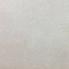 Обои Marburg Patent Decor 1889