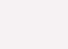 Обои Grandeco Jack 'n Rose 2024 LL-09-01-6