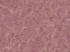 Обои Zambaiti parati Viaggio Italiano R 23002