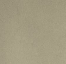 Обои Bernardo Bartalucci Legend 5068-38