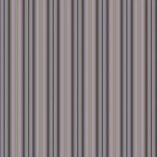 Joli6 007