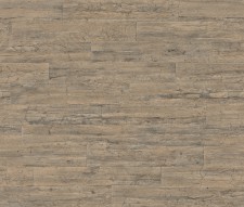 Обои Rasch Curiosity 537031