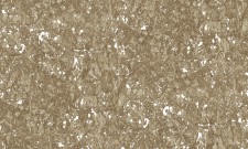 Обои Bruno Zoff Platinum 60102-5