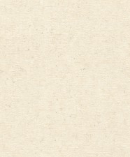 Обои Rasch Concrete 520835