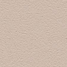 65438-21 R