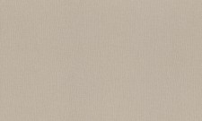 Обои Rasch Tendencia 975550