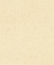 Обои Rasch Concrete 520842