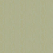 V5 005