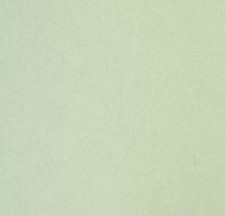 Обои Bernardo Bartalucci Legend 5068-85