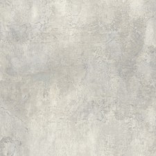 IC 1205