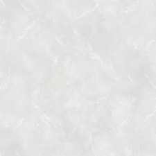 VS281807