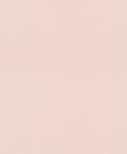 Обои Rasch Tapetenwechsel II 523157