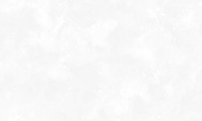 Обои WallSecret Jamaica Jam8769-10