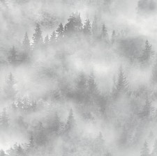 Обои PALITRA My Forest HC71960-14