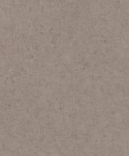 Обои Rasch Concrete 520873