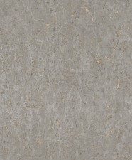 Обои Rasch Curiosity 538335