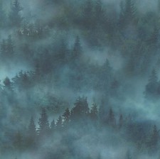 Обои PALITRA My Forest HC71960-67