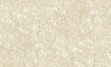 Обои Bruno Zoff Platinum 60102-1
