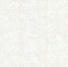 R 23646