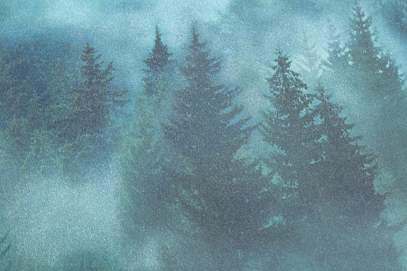 допкартинка