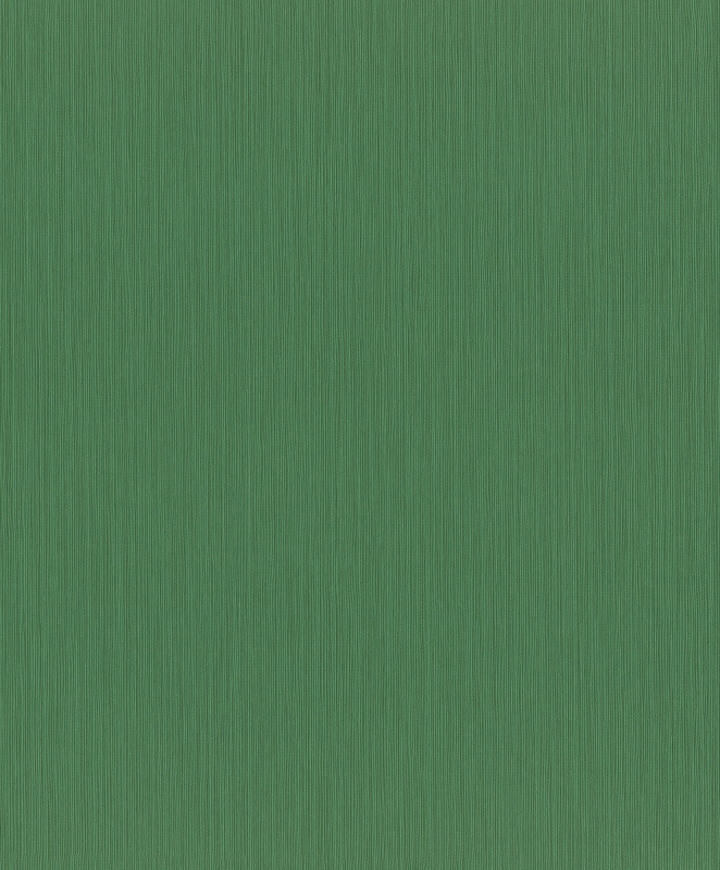 Обои Rasch Curiosity 537673