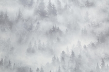 допкартинка