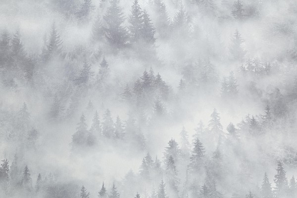 допкартинка