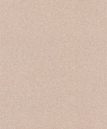 Обои Rasch Tapetenwechsel II 507096