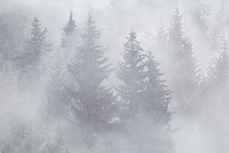 допкартинка