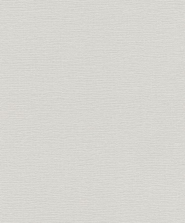 Обои Rasch Tapetenwechsel II 804317