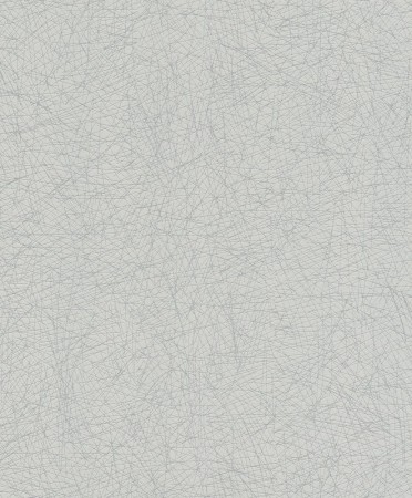 Обои Rasch Rock´n Rolle 541373