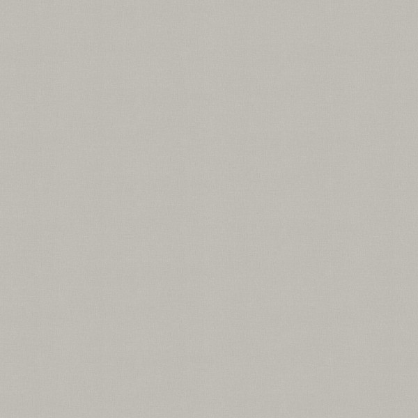 A101306_1