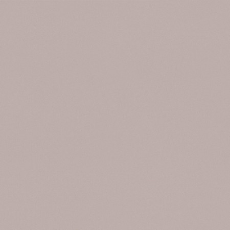 SP019