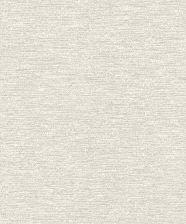 Обои Rasch Tapetenwechsel II 804324