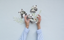 допкартинка