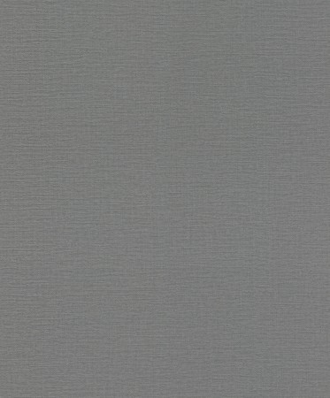 Обои Rasch Tapetenwechsel II 804553
